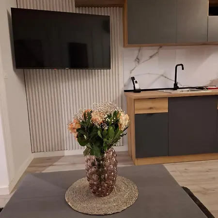 Castleview Apartment *